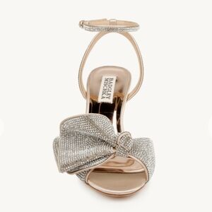 Badgley Mischka NWT Elegant Event Shoes In Champagne With Clear Crystals